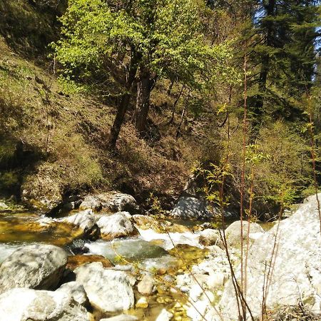 Latoda Eco Lodge Jibhi 외부 사진