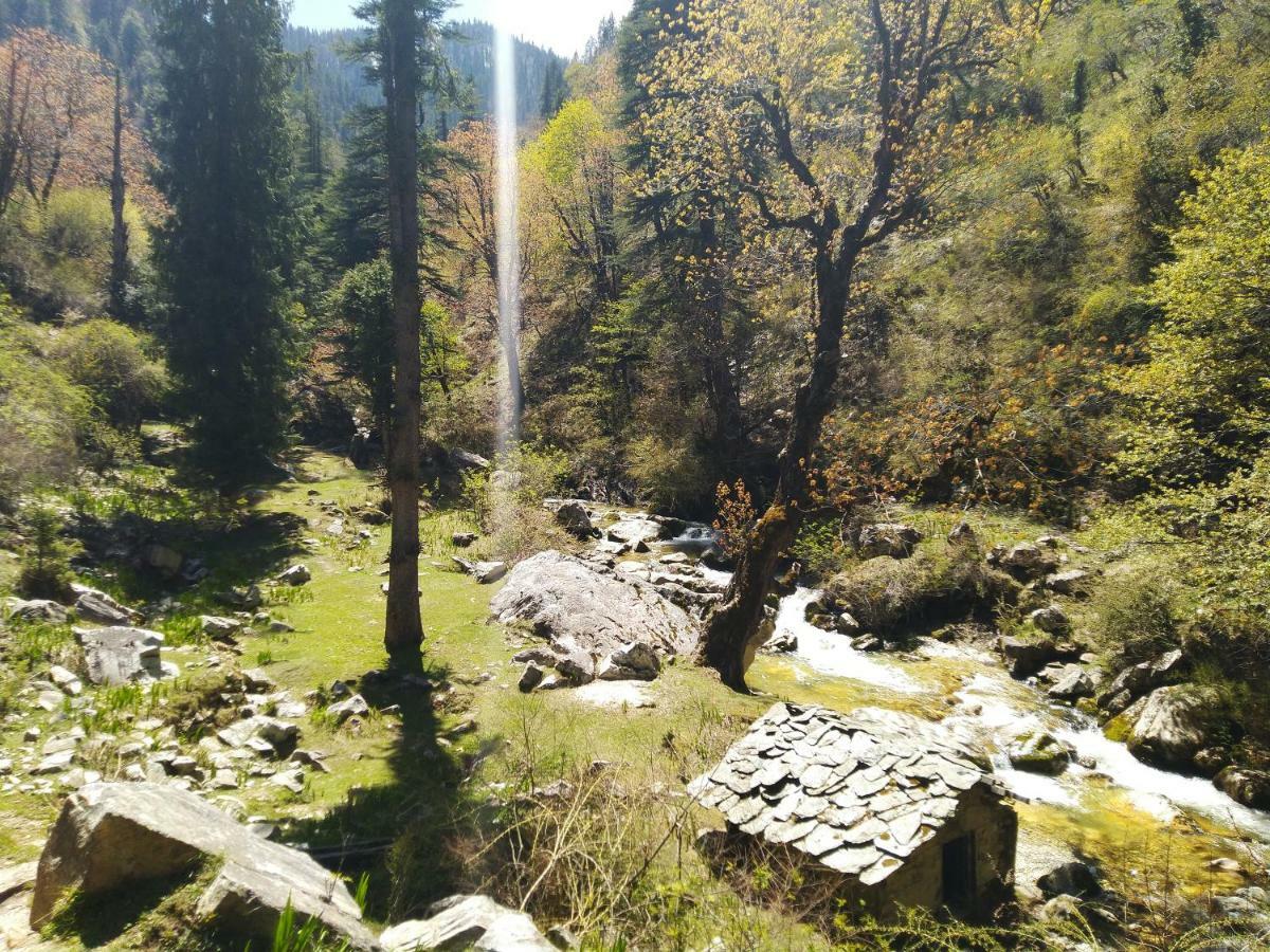 Latoda Eco Lodge Jibhi 외부 사진