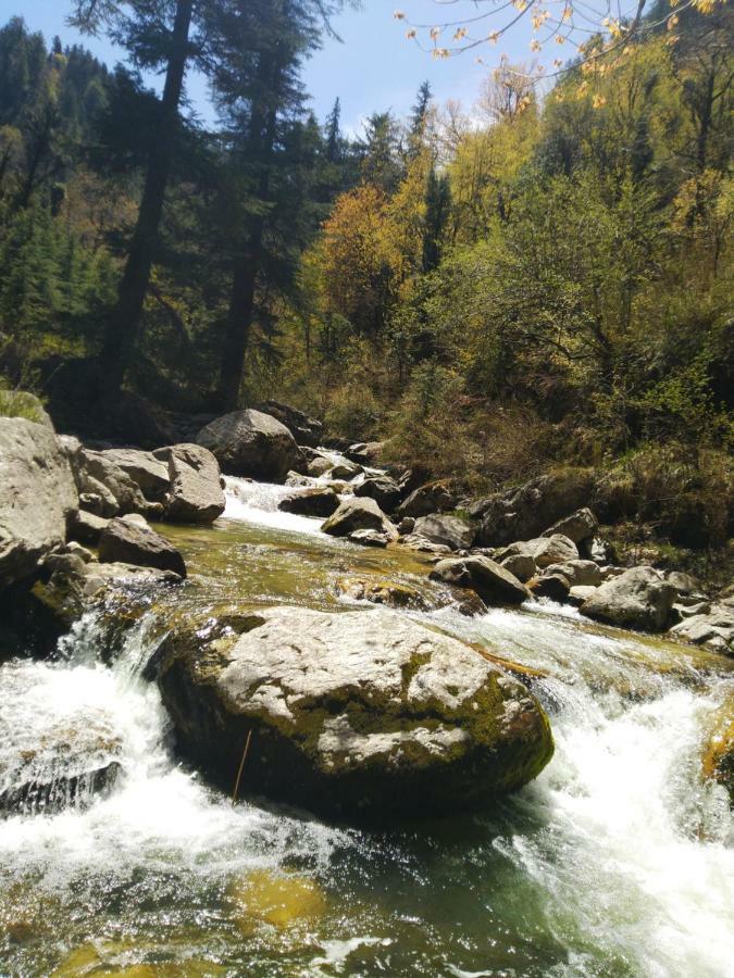 Latoda Eco Lodge Jibhi 외부 사진