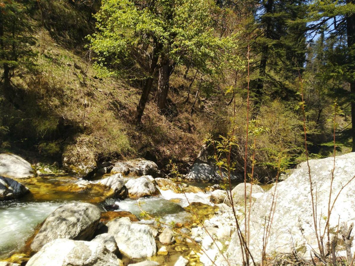 Latoda Eco Lodge Jibhi 외부 사진