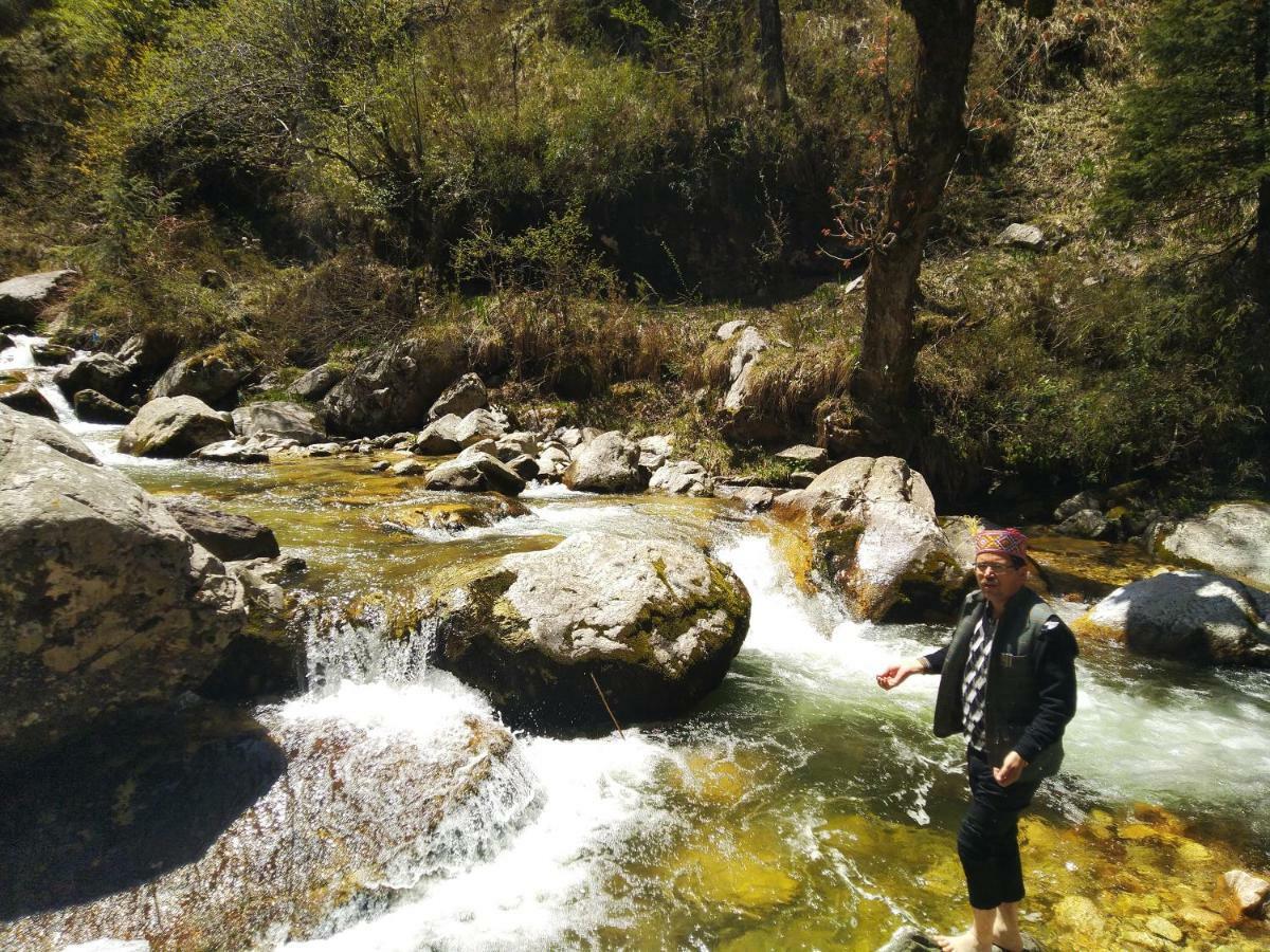 Latoda Eco Lodge Jibhi 외부 사진